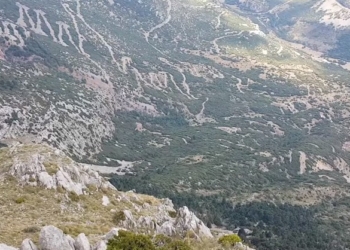 parnassos_iparnassos
