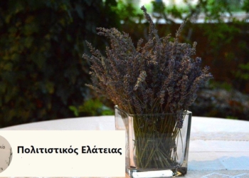 politistikos_elateias_iparnassos