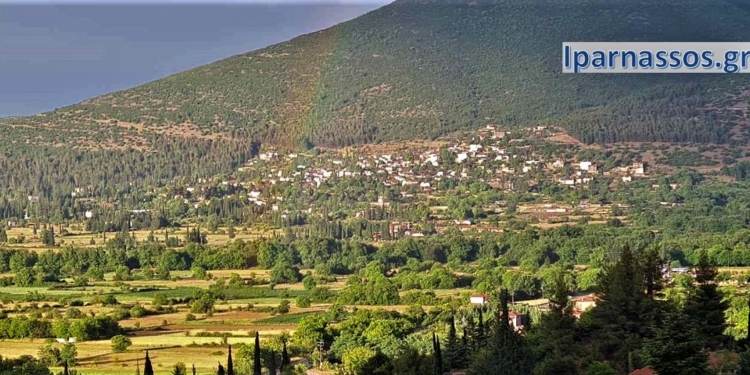 polydrosos_iparnassos (1)