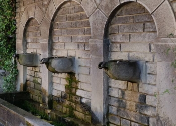 polydrosos_iparnassos (1)