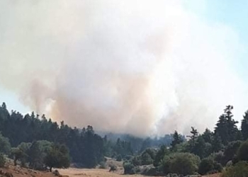 fotia-delfoi-iparnassos