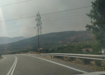 Πυρκαγιά στην Ελαία Δωρίδος – Φωκίδας
