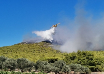 Εκκενώθηκαν πέντε οικισμοί και το γηροκομείο, στην περιοχή των Βιλίων