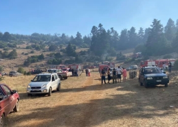 Περιορίστηκε η φωτιά στη περιοχή Αλαφόκαστρο