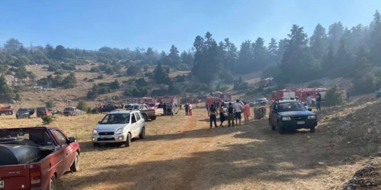 Περιορίστηκε η φωτιά στη περιοχή Αλαφόκαστρο