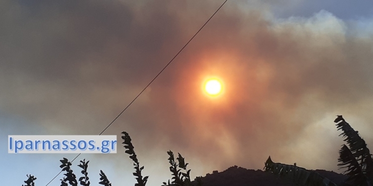 fotia-dorida_iparnassos