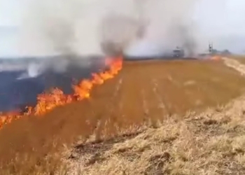 fotia-elateia_iparnassos