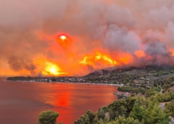 fotia-evia_iparnassos