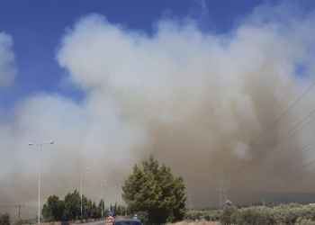 fotia_dorida_iparnassos (1)