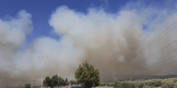fotia_dorida_iparnassos (1)