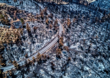 Σύγκληση δημοτικού συμβουλίου για την αντιπυρική προστασία ζητά η ΛΑΣΥ Δελφών