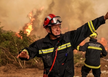 Ξεκινούν οι αιτήσεις για γεωργικές αποζημιώσεις από τις πυρκαγιές σε Δωρίδα και Εύβοια