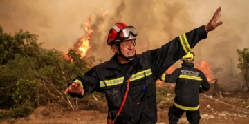 Ξεκινούν οι αιτήσεις για γεωργικές αποζημιώσεις από τις πυρκαγιές σε Δωρίδα και Εύβοια