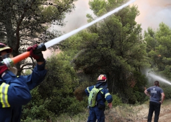 Σταμάτησαν τη φωτιά λίγο πριν το Μοναστήρι στη Μαλεσίνα (update)