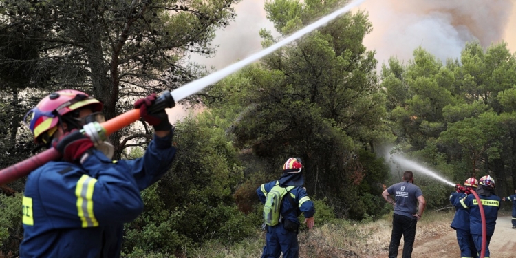 Σταμάτησαν τη φωτιά λίγο πριν το Μοναστήρι στη Μαλεσίνα (update)