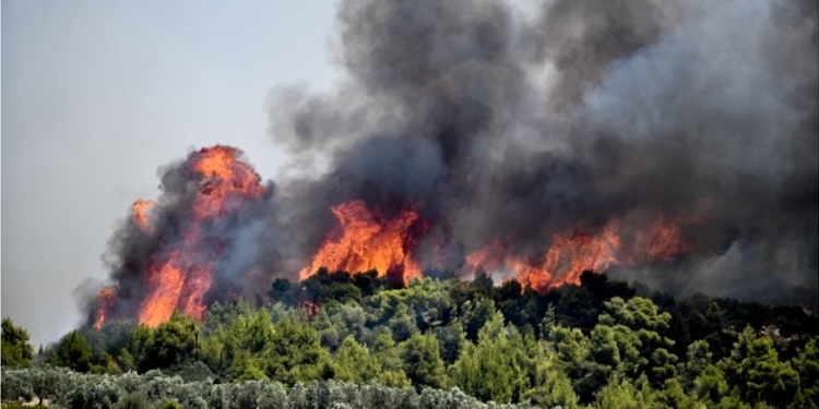 Πολύ υψηλός κίνδυνος πυρκαγιάς και σήμερα, Κυριακή 08 Αυγούστου 2021