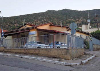 Μεγάλη φυτεία κάνναβης ξεριζώθηκε στην Τιθορέα!