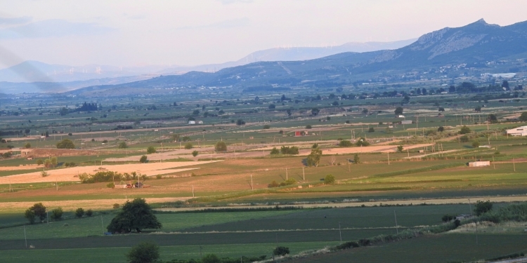 Προχωράει η εκκαθάριση στον πρώην Οργανισμό Κωπαϊδος