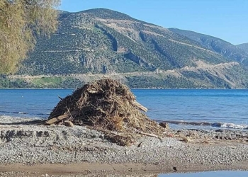 Ετήσιος απολογισμός του Λιμενικού ταμείου Ν. ΦΩΚΙΔΑΣ