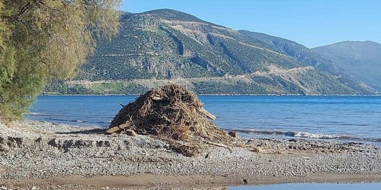 Ετήσιος απολογισμός του Λιμενικού ταμείου Ν. ΦΩΚΙΔΑΣ