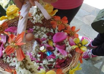 Το Δημοτικό Σχολείο Αμφίκλειας τραγουδά τα κάλαντα του Λαζάρου