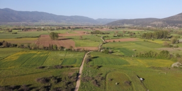 Ξεκινούν εργασίες αγροτικής οδοποιίας στο Δ. Δελφών