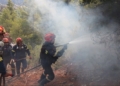 Φωτιά ξέσπασε στο Ζέλι