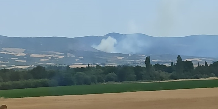 Πυρκαγιά στην περιοχή Βασιλικά Ελάτειας