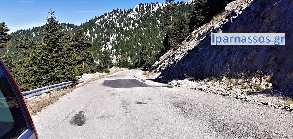 Τραγικό θάνατο βρήκε 76χρονος από την Πολύδροσο όταν πήγε να μαζέψει τσάι
