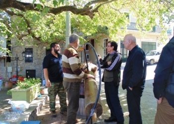 “Γιορτή Τσίπουρου 2022” στην Τιθορέα￼