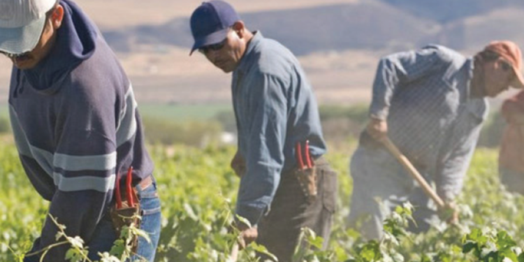 Τι θα συμβεί με τους εργάτες γής