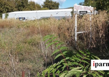 Τα πρόστιμα από τον Δήμο Λεβαδέων για  την αντιπυρική περίοδο