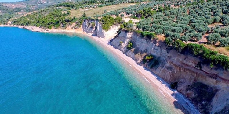 Παράνομη αλιεία χταπoδιών στη Μαλεσίνα