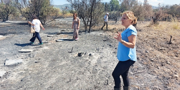 Καταγράφονται οι ζημιές από την πυρκαγιά στο Δ. Αμφίκλειας-Ελάτειας