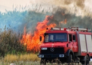 Πυρκαγιά στο Καπαρέλλι Βοιωτίας