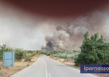 Φωτιά κάτω από τον Όσιο Λουκά – SOS για το μοναστήρι ΒΙΝΤΕΟ & ΦΩΤΟ