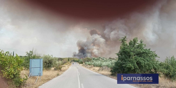 Φωτιά κάτω από τον Όσιο Λουκά – SOS για το μοναστήρι ΒΙΝΤΕΟ & ΦΩΤΟ