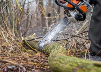 Εκπαίδευση Νεοεισερχόμενων Δασεργατών