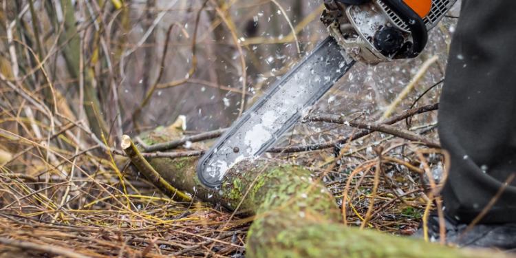 Εκπαίδευση Νεοεισερχόμενων Δασεργατών