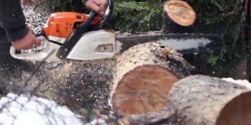 Ξεκίνησαν οι αιτήσεις καυσοξύλευσης στον Δ.Λεβαδέων