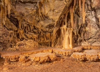 Να ενταχθούν στο σύστημα «Απάτητων Βουνών», περιοχές της Φωκίδας, Βοιωτίας, Φθιώτιδας