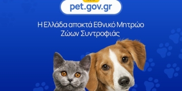 Πως δηλώνω το κατοικίδιο μου στο pet.gov.gr. Τα πρόστιμα και οι προθεσμίες
