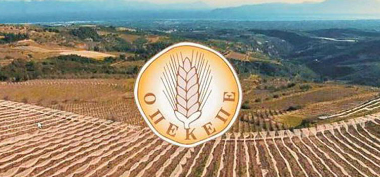 ΟΠΕΚΕΠΕ: Ξεκίνησαν οι αιτήσεις για διορθώσεις – τροποποιήσεις Ενιαίας Ενίσχυσης 2023