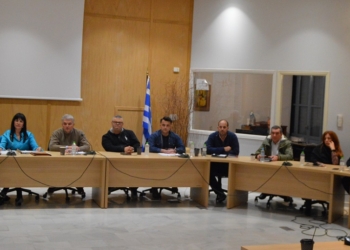 Οι κλοπές σε Γραβιά, Πολύδροσο στο δημοτικό συμβούλιο (video)