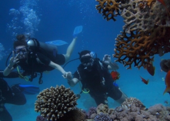  Ένα ακόμα βήμα για τη δημιουργία Καταδυτικού Πάρκου στο Δήμο Δελφών