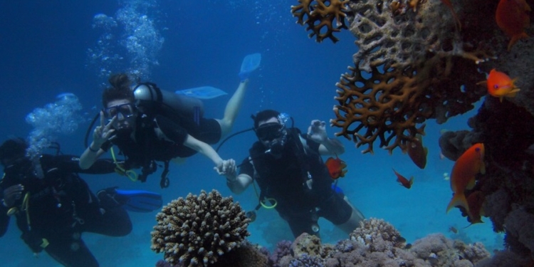  Ένα ακόμα βήμα για τη δημιουργία Καταδυτικού Πάρκου στο Δήμο Δελφών