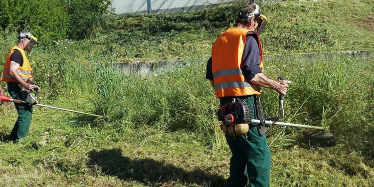 Δήμος ΔΑΑ: Υποχρεωτικός ο καθαρισμός οικοπέδων