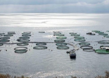 Στο πλευρό του Δήμου Δελφών το Υπουργείο Τουρισμού για το χωροταξικό των ιχθυοκαλλιεργειών