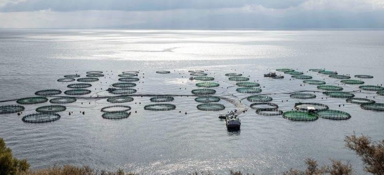Στο πλευρό του Δήμου Δελφών το Υπουργείο Τουρισμού για το χωροταξικό των ιχθυοκαλλιεργειών