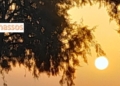 Για 10η μέρα πάνω από 40°C – Τέλος του μήνα η θερμοκρασία ενδεχομένως να παρουσιάσει κάποια πτώση